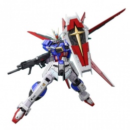 Gundam Gunpla RG FORCE...